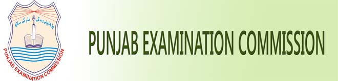 Punjab-Examination-Commission