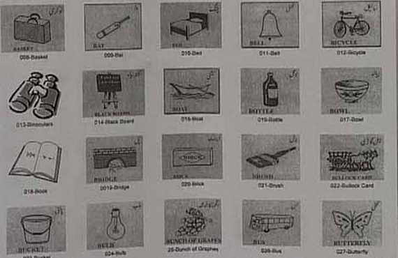 electoral symbols