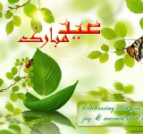 Eid ul fitr hd wallpaper 2013 5
