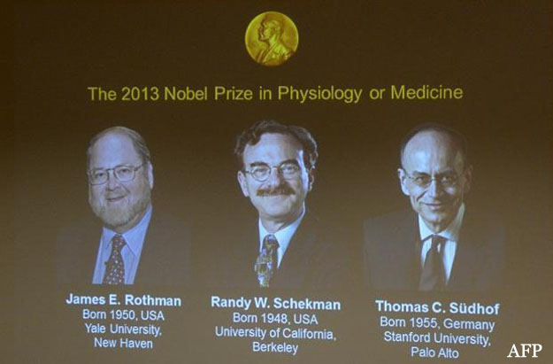 A screen displays photos and the names of the 2013 Nobel Prize winners in medicine on Monday at the Nobel Assembly at the Karolinska Institute in Stockholm. Photo: Jonathan Nackstrand/ AFP