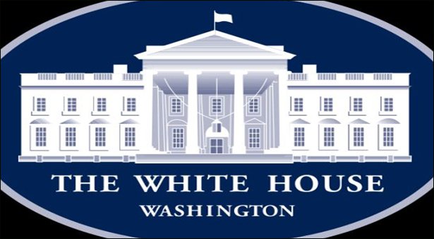 Secret Service bungled response to 2011 White House shooter: report