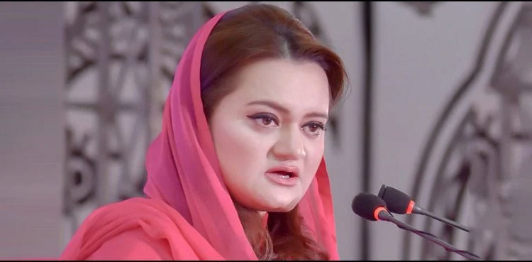 PTV anchor who visited Israel fired from job: Marriyum Aurangzeb