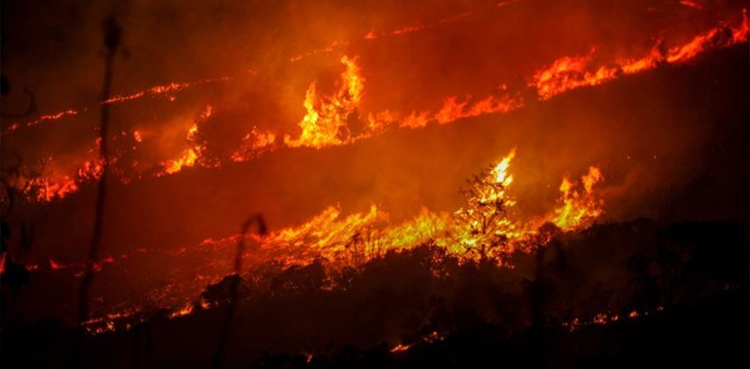 Rain douses Cyprus wildfire that burned thousands of acres